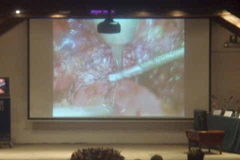 The auditorium at Elezenveld during the live transmission